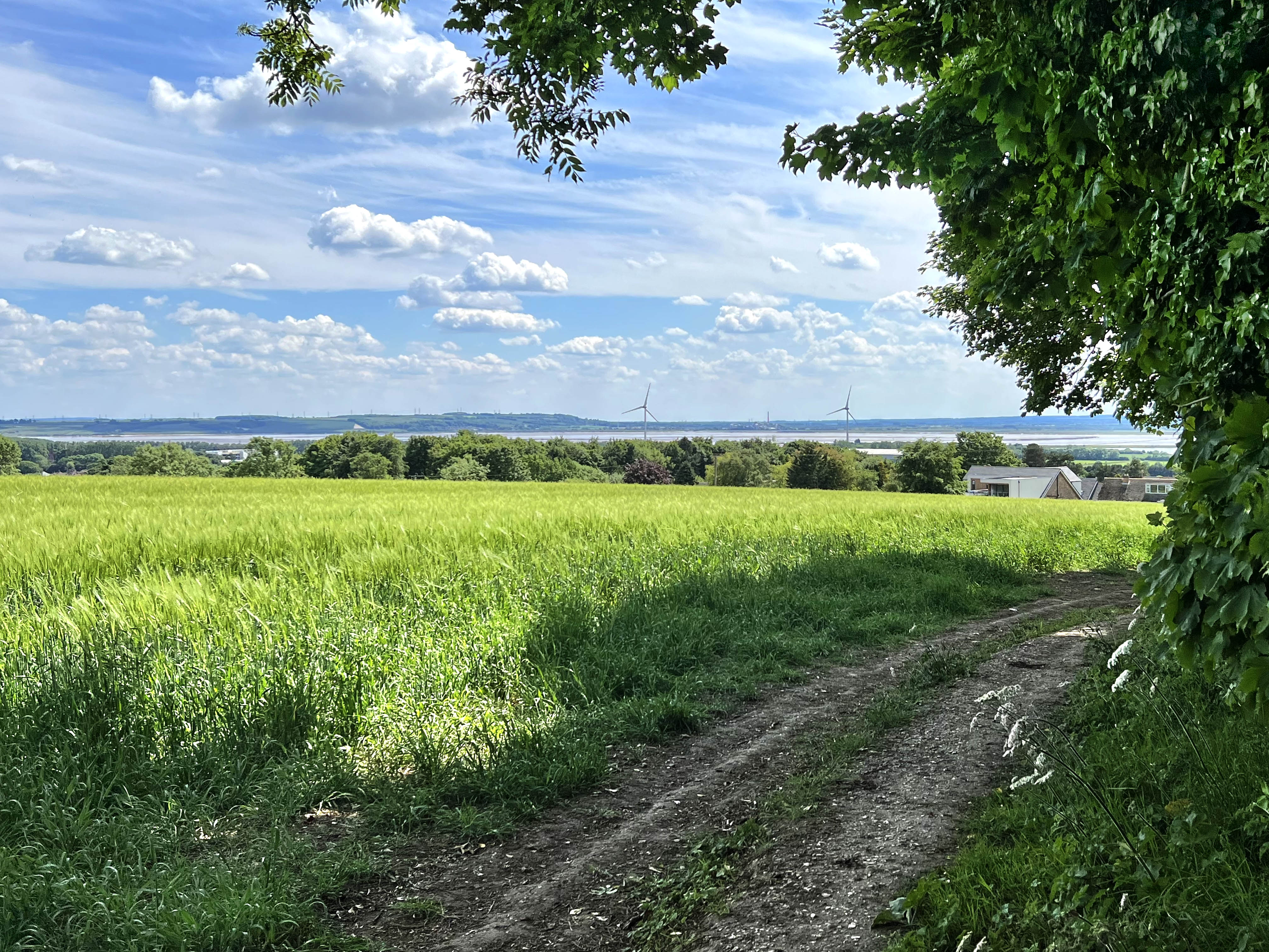 A dirt path winds through a vibrant green field under a blue sky with scattered clouds. Wind turbines stand in the distant background. Trees and bushes frame the scene.